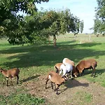 Podkrovi V Jihoceskem Statku Nemejice