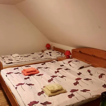 Podkrovi V Jihoceskem Statku Nemejice