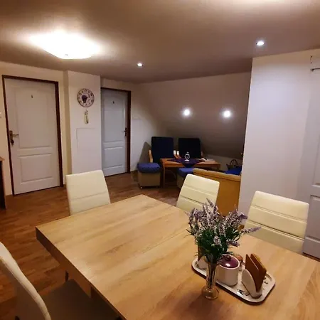 Podkroví V Jihočeském Statku *